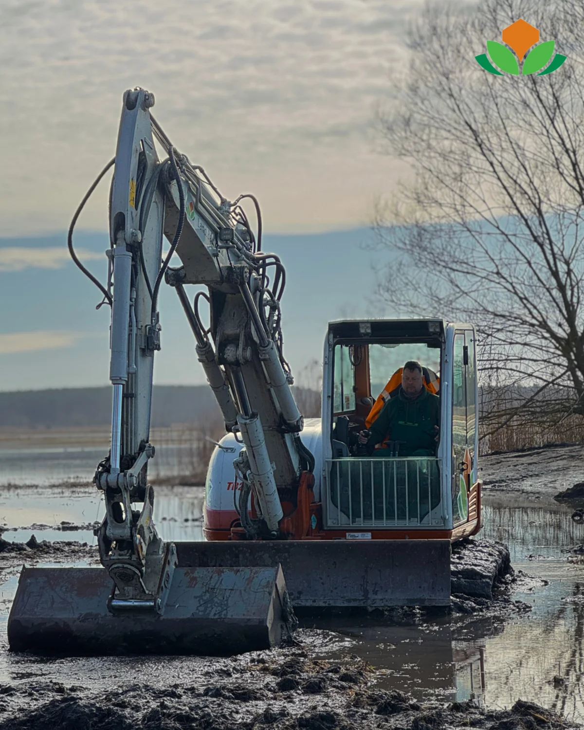 Kompaktbagger modelliert im flachen Wasser ein Ersatzlaichgewässer &mdash; eine vorgezogene Ausgleichsmaßnahme entsteht vor dem Eingriff