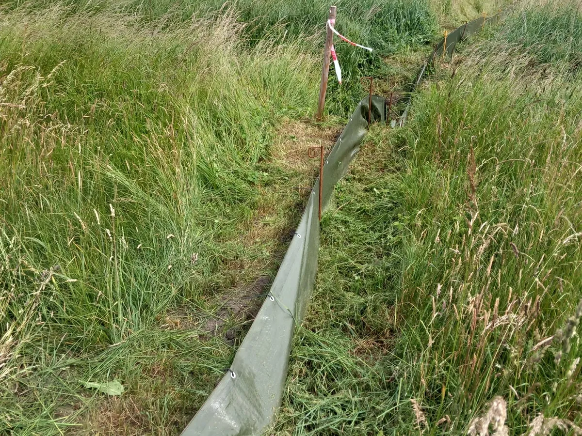 Zaun durch hohes Gras