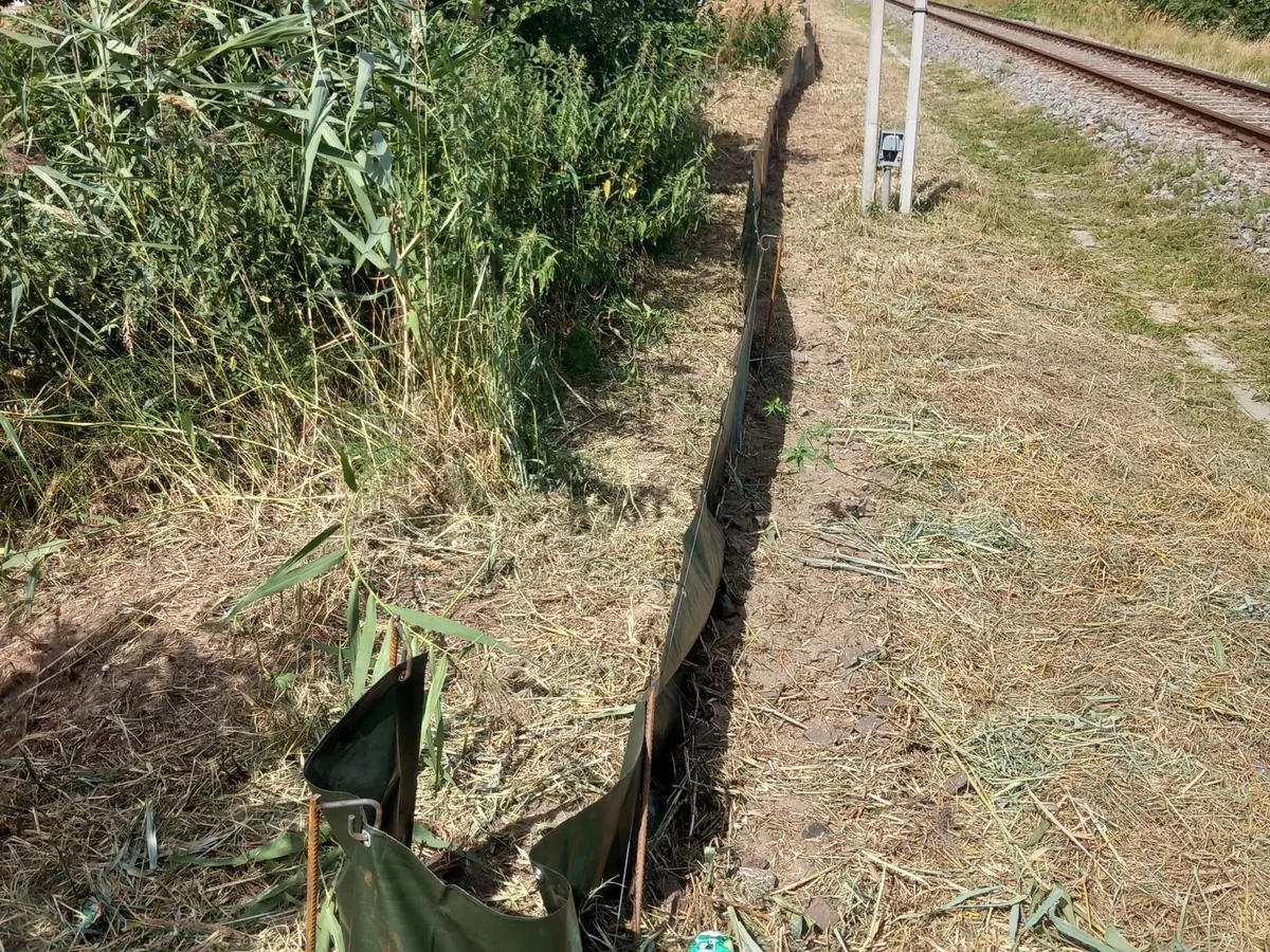Zaun am Schilfstreifen