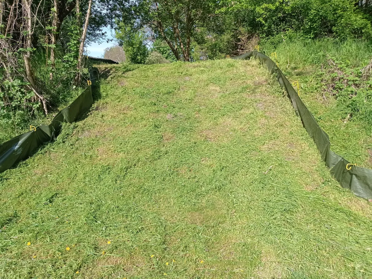 Gemähte Fläche im Zaun