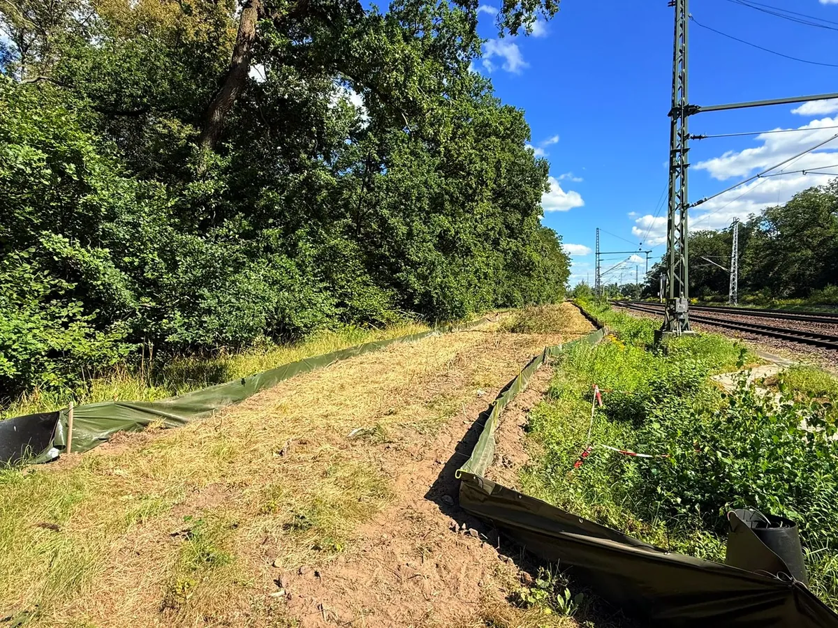 Zaunlinie unter der Oberleitung