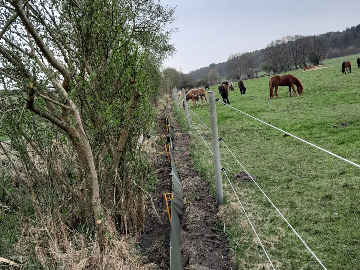 Zaun zwischen Gleis und Weide