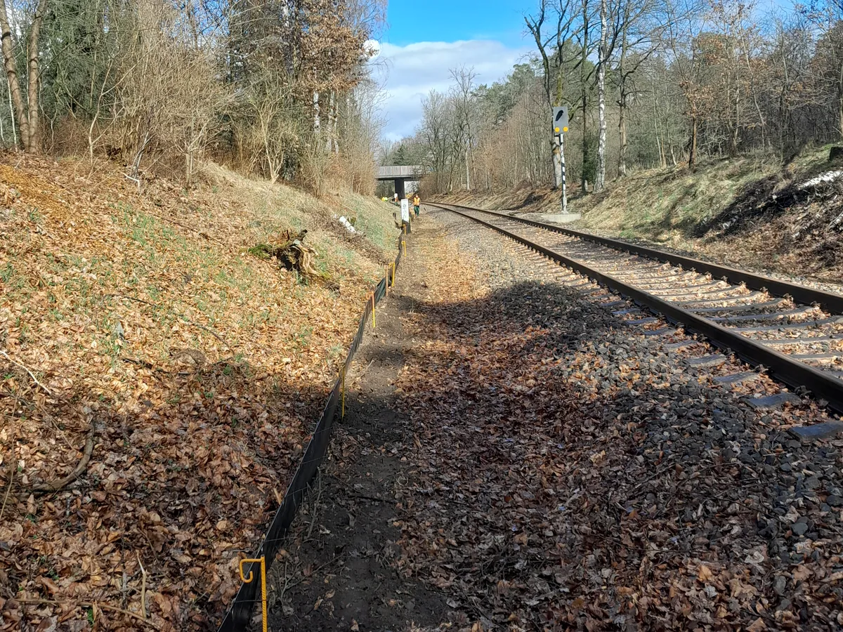 Handeinbau im Waldabschnitt
