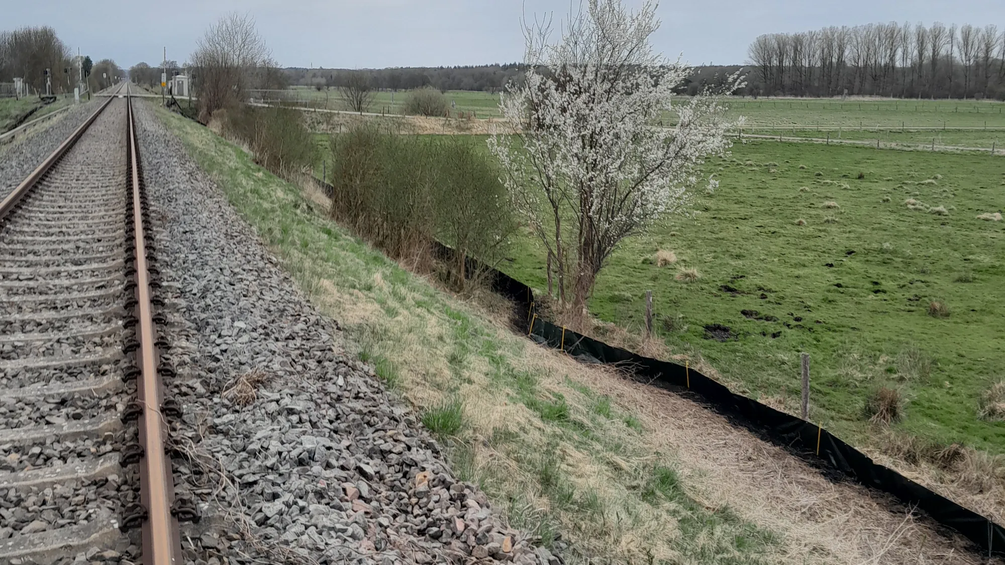 Umleiterstrecke Lübeck–Büchen